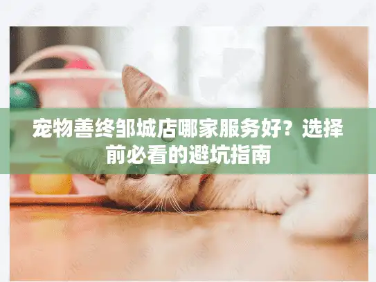 宠物善终邹城店哪家服务好？选择前必看的避坑指南