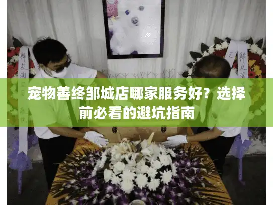 宠物善终邹城店哪家服务好？选择前必看的避坑指南