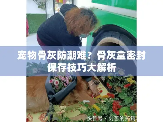 宠物骨灰防潮难?骨灰盒密封保存技巧大解析 宠物骨灰防潮难?骨灰盒密封保存技巧大解析