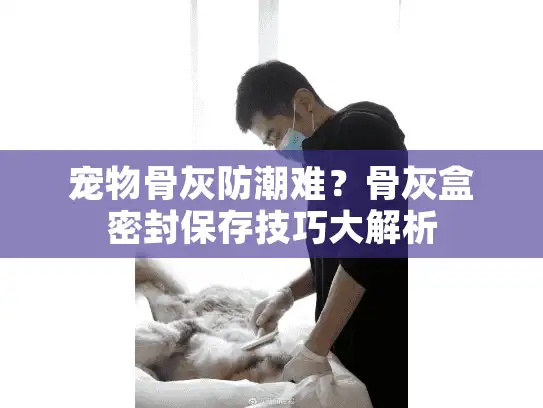 宠物骨灰防潮难?骨灰盒密封保存技巧大解析 宠物骨灰防潮难?骨灰盒密封保存技巧大解析