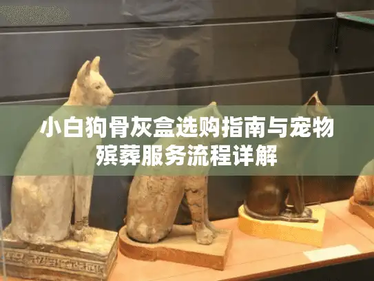小白狗骨灰盒选购指南与宠物殡葬服务流程详解