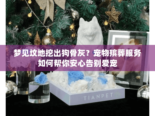 梦见坟地挖出狗骨灰？宠物殡葬服务如何帮你安心告别爱宠