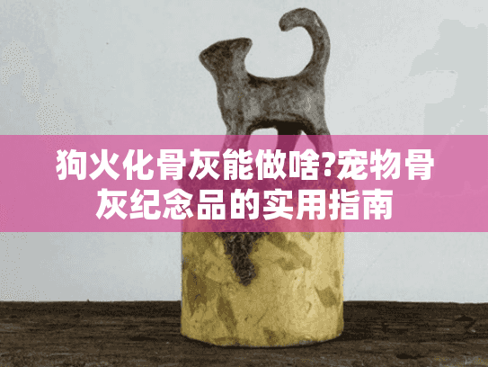狗火化骨灰能做啥?宠物骨灰纪念品的实用指南