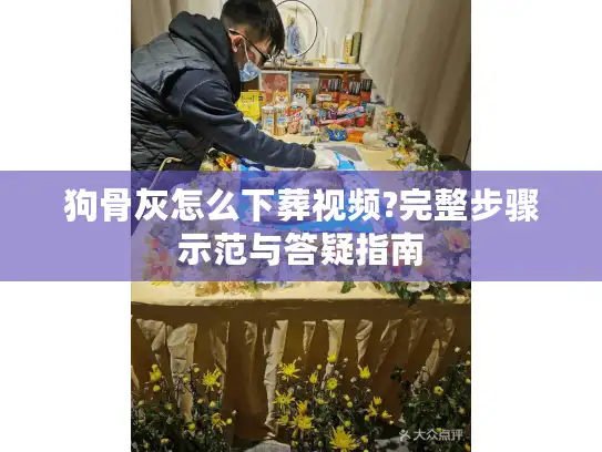 狗骨灰怎么下葬视频?完整步骤示范与答疑指南