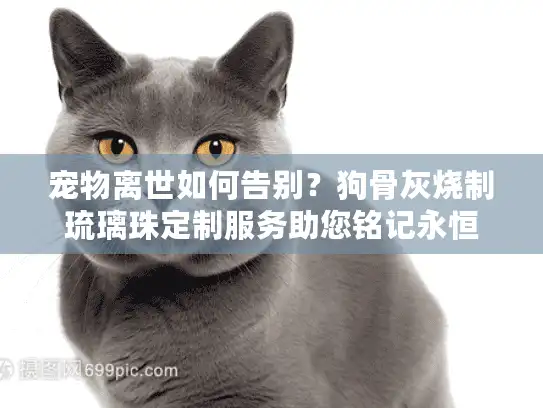 宠物离世如何告别？狗骨灰烧制琉璃珠定制服务助您铭记永恒