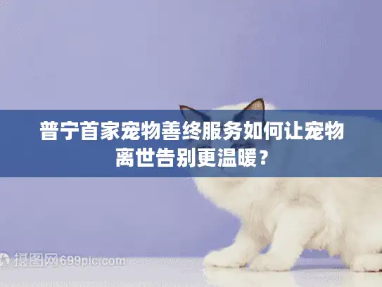 普宁首家宠物善终服务如何让宠物离世告别更温暖？
