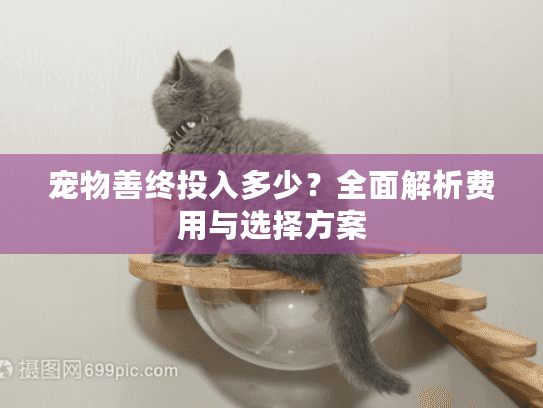 宠物善终投入多少？全面解析费用与选择方案