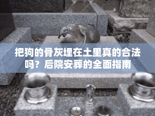 把狗的骨灰埋在土里真的合法吗？后院安葬的全面指南