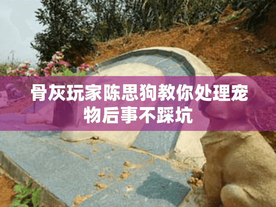 骨灰玩家陈思狗教你处理宠物后事不踩坑