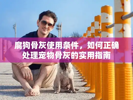 腐狗骨灰使用条件,如何正确处理宠物骨灰的实用指南 腐狗骨灰使用条件,如何正确处理宠物骨灰的实用指南
