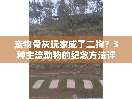 宠物骨灰玩家成了二狗?3种主流动物的纪念方法评测 宠物骨灰玩家成了二狗?3种主流动物的纪念方法评测