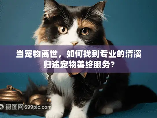 当宠物离世,如何找到专业的清溪归途宠物善终服务? 当宠物离世,如何找到专业的清溪归途宠物善终服务?