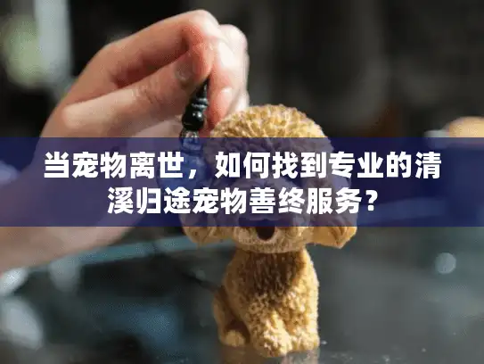 当宠物离世,如何找到专业的清溪归途宠物善终服务? 当宠物离世,如何找到专业的清溪归途宠物善终服务?