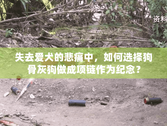 失去爱犬的悲痛中，如何选择狗骨灰狗做成项链作为纪念？