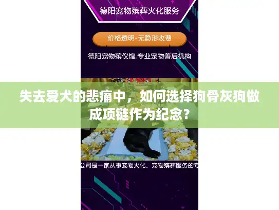 失去爱犬的悲痛中，如何选择狗骨灰狗做成项链作为纪念？