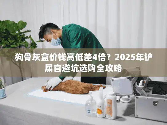 狗骨灰盒价钱高低差4倍?2025年铲屎官避坑选购全攻略 狗骨灰盒价钱高低差4倍?2025年铲屎官避坑选购全攻略