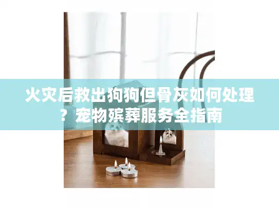 火灾后救出狗狗但骨灰如何处理？宠物殡葬服务全指南