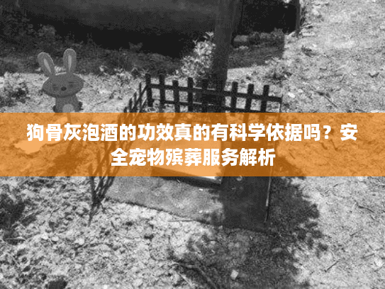 狗骨灰泡酒的功效真的有科学依据吗？安全宠物殡葬服务解析