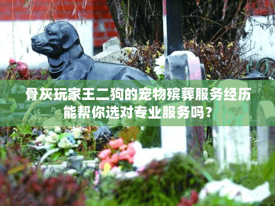 骨灰玩家王二狗的宠物殡葬服务经历能帮你选对专业服务吗？