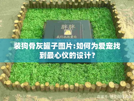 装狗骨灰罐子图片:如何为爱宠找到最心仪的设计？