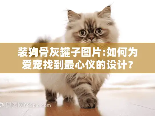 装狗骨灰罐子图片:如何为爱宠找到最心仪的设计？