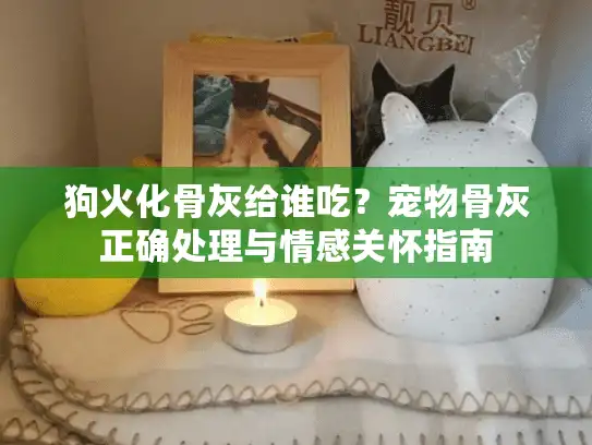狗火化骨灰给谁吃？宠物骨灰正确处理与情感关怀指南