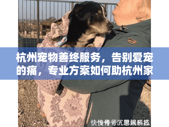 杭州宠物善终服务，告别爱宠的痛，专业方案如何助杭州家庭走出悲伤？