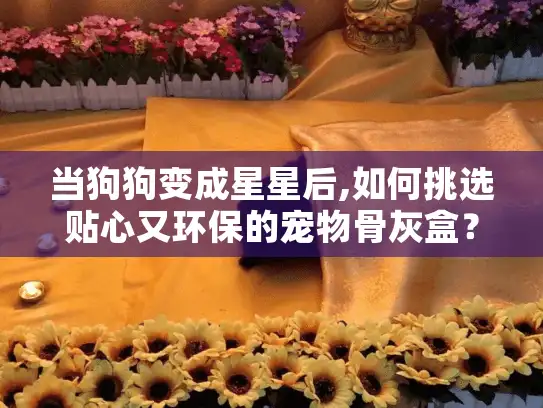 当狗狗变成星星后,如何挑选贴心又环保的宠物骨灰盒？