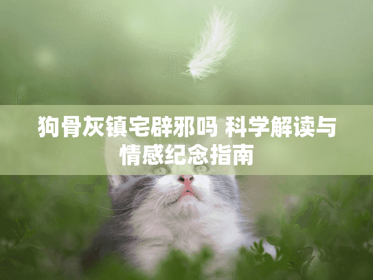 狗骨灰镇宅辟邪吗 科学解读与情感纪念指南