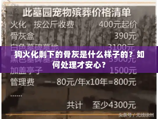 狗火化剩下的骨灰是什么样子的?如何处理才安心? 狗火化剩下的骨灰是什么样子的?如何处理才安心?