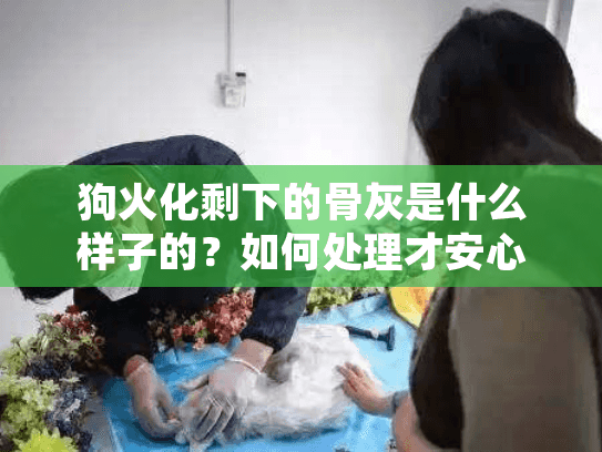 狗火化剩下的骨灰是什么样子的?如何处理才安心? 狗火化剩下的骨灰是什么样子的?如何处理才安心?