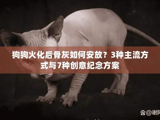 狗狗火化后骨灰如何安放?3种主流方式与7种创意纪念方案 狗狗火化后骨灰如何安放?3种主流方式与7种创意纪念方案