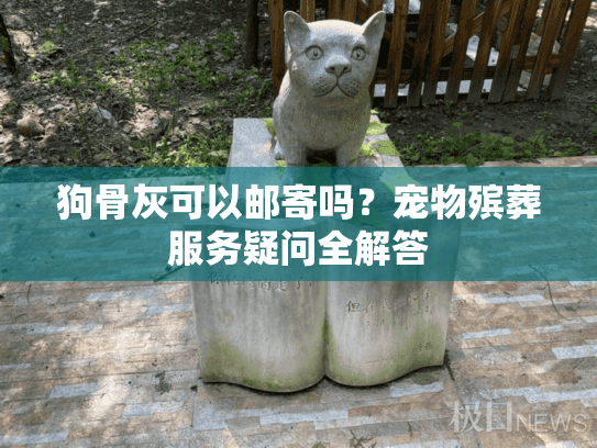 狗骨灰可以邮寄吗？宠物殡葬服务疑问全解答