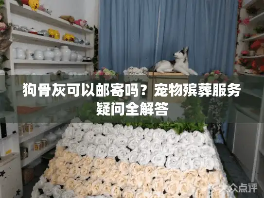 狗骨灰可以邮寄吗？宠物殡葬服务疑问全解答