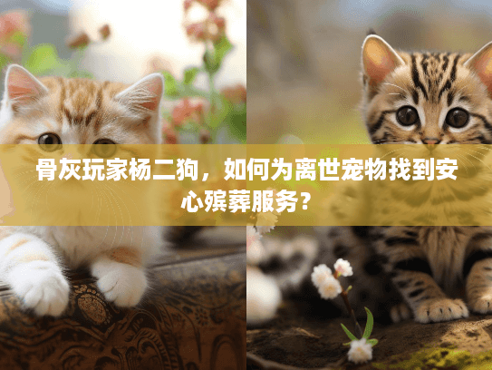 骨灰玩家杨二狗，如何为离世宠物找到安心殡葬服务？