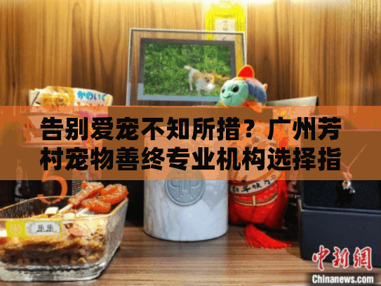 告别爱宠不知所措？广州芳村宠物善终专业机构选择指南