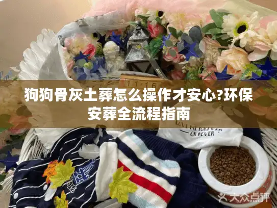 狗狗骨灰土葬怎么操作才安心?环保安葬全流程指南