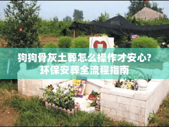 狗狗骨灰土葬怎么操作才安心?环保安葬全流程指南