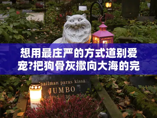 想用最庄严的方式道别爱宠?把狗骨灰撒向大海的完整指南