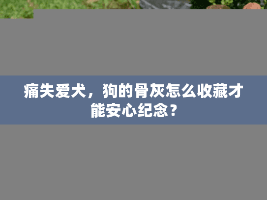 痛失爱犬，狗的骨灰怎么收藏才能安心纪念？