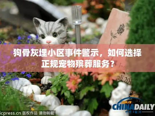 狗骨灰埋小区事件警示，如何选择正规宠物殡葬服务？