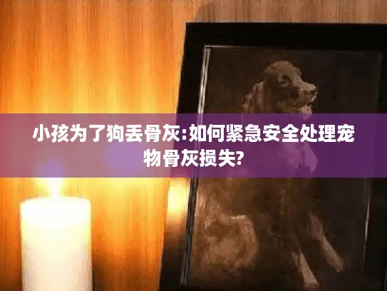 小孩为了狗丢骨灰:如何紧急安全处理宠物骨灰损失? 小孩为了狗丢骨灰:如何紧急安全处理宠物骨灰损失?