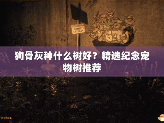 狗骨灰种什么树好？精选纪念宠物树推荐