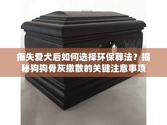 痛失爱犬后如何选择环保葬法？揭秘狗狗骨灰撒散的关键注意事项