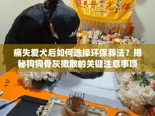 痛失爱犬后如何选择环保葬法？揭秘狗狗骨灰撒散的关键注意事项