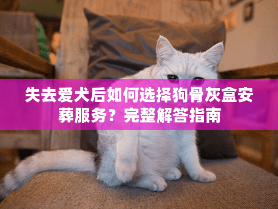 失去爱犬后如何选择狗骨灰盒安葬服务?完整解答指南 失去爱犬后如何选择狗骨灰盒安葬服务?完整解答指南