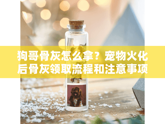 狗哥骨灰怎么拿？宠物火化后骨灰领取流程和注意事项全解答