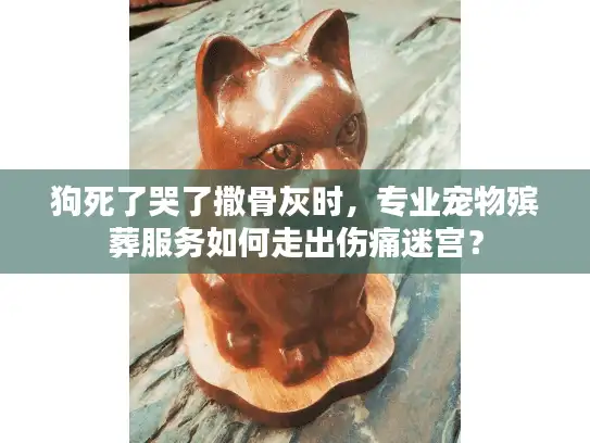 狗死了哭了撒骨灰时，专业宠物殡葬服务如何走出伤痛迷宫？