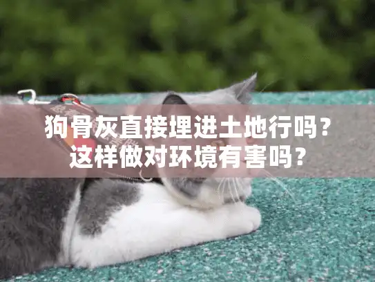 狗骨灰直接埋进土地行吗？这样做对环境有害吗？