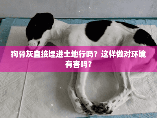 狗骨灰直接埋进土地行吗？这样做对环境有害吗？